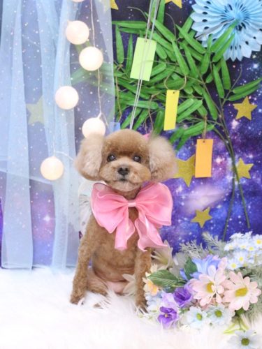 20250705フーちゃん